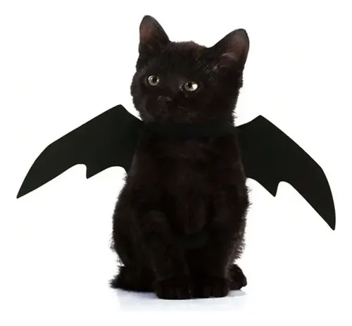 Disfraz Para Gatos Alas De Murcielago - A Pedido_exkarg Negro 5