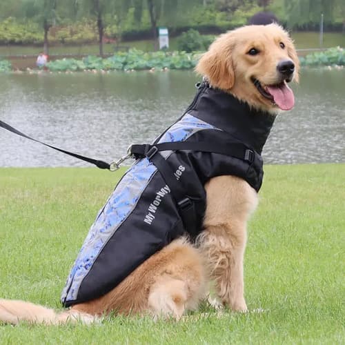 Campera De Invierno Para Perro - A Pedido_exkarg Negro 8