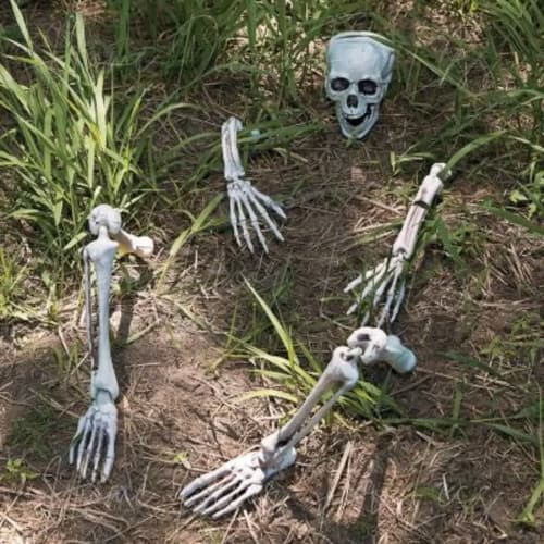 Set Decoracion Halloweeen Esqueleto - A Pedido_exkarg