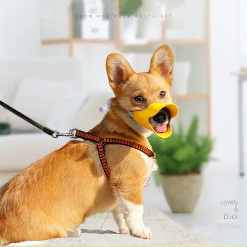 Bozal Pet Puppy Dog - A Pedido_exkarg Pequeño 5