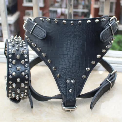 Collar Arnes Para Perro Large Breed - A Pedido_exkarg X 4