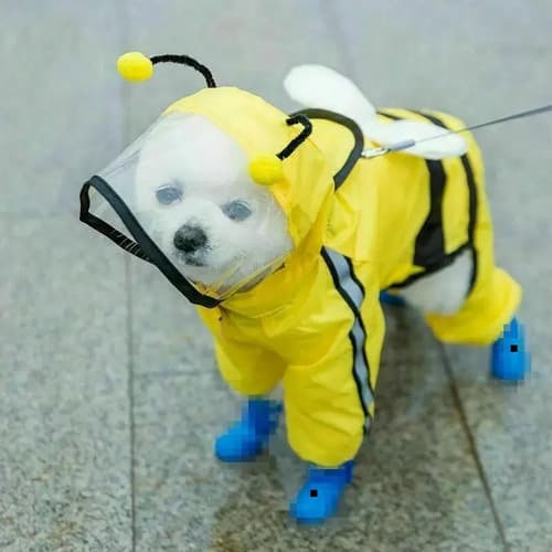 Capa De Lluvia Para Perro - A Pedido_exkarg 2