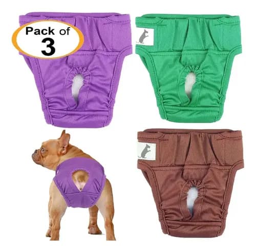 Paquete De 3 Pañales Para Perras/gatos - A Pedido Verde M 4
