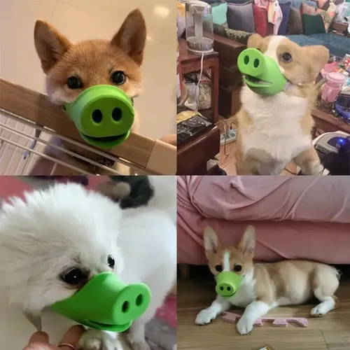 Bozal Para Perro Cute Pig Nose - A Pedido_exkarg Mediano 3