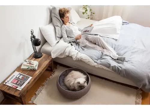 Cama Para Mascotas Keter By Curver - A Pedido Arena 2