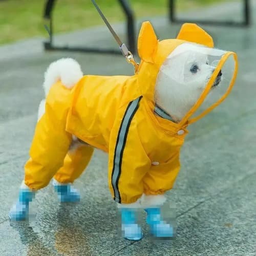 Capa De Lluvia Para Perro - A Pedido_exkarg 4