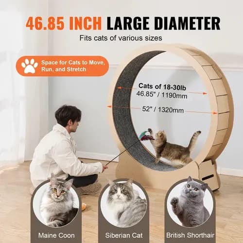 Rueda De Madera Para Ejercicios De Gatos - A Pedido_exkarg Madera 4