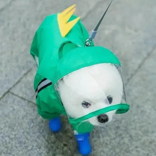 Capa De Lluvia Para Perro - A Pedido_exkarg 6