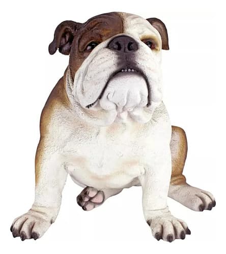 Estatua Perro Bulldog Ingles - A Pedido_exkarg Blanco 6