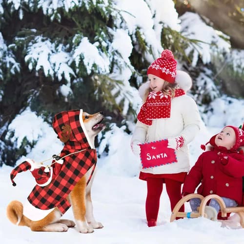 Disfraz Navideño Para Perro - A Pedido_exkarg 4