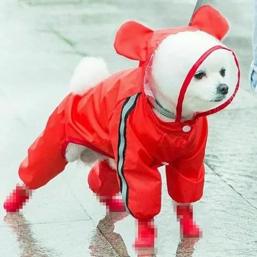 Capa De Lluvia Para Perro - A Pedido_exkarg 5