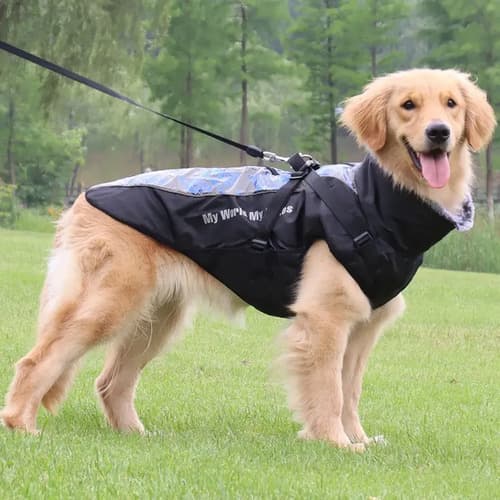 Campera De Invierno Para Perro - A Pedido_exkarg Negro 6