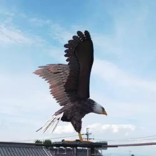 Estatua Aguila Americana - A Pedido_exkarg Negro 5
