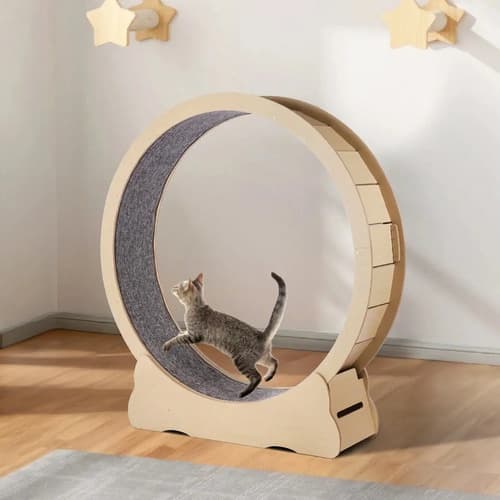 Rueda De Madera Para Ejercicios De Gatos - A Pedido_exkarg Madera 5