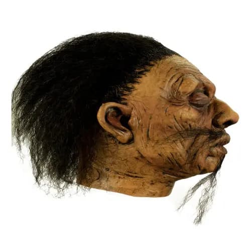 Máscara Latex Shrunken Head A - 1 Terror Halloween Color Café 2