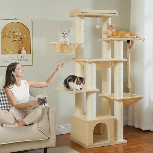 Rascador + Árbol Para Gatos 67 Pulgadas - A Pedido_exkarg Verde 4