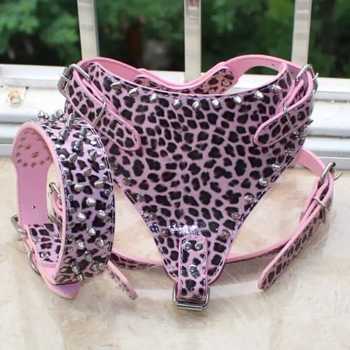 Collar Arnes Para Perro Large Breed - A Pedido_exkarg X 3