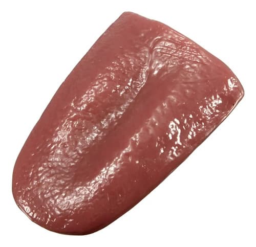 Lengua Falsa De Broma - A Pedido_exkarg Rosa
