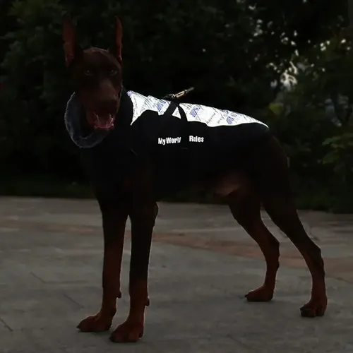 Campera De Invierno Para Perro - A Pedido_exkarg Negro 2