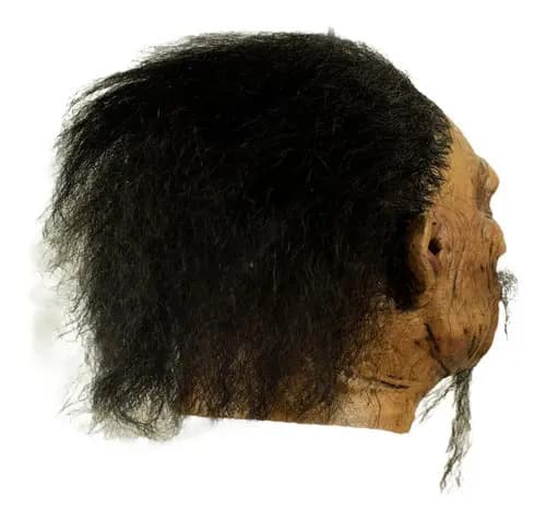 Máscara Latex Shrunken Head A - 1 Terror Halloween Color Café 3
