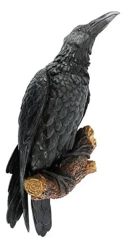 Escultura Pajaro Decorativo Design Toscano - A Pedido_exkarg Negro 6