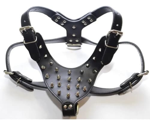 Juego De Collar Arnés Púas Pitbull Bulldog - A Pedido_exkarg X 3