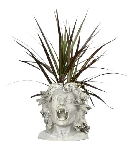 Maceta Cabeza Medusa - A Pedido_exkarg Gris