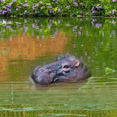 Estatua Flotante Realistica Hipopotamo - A Pedido_exkarg Marrón 4