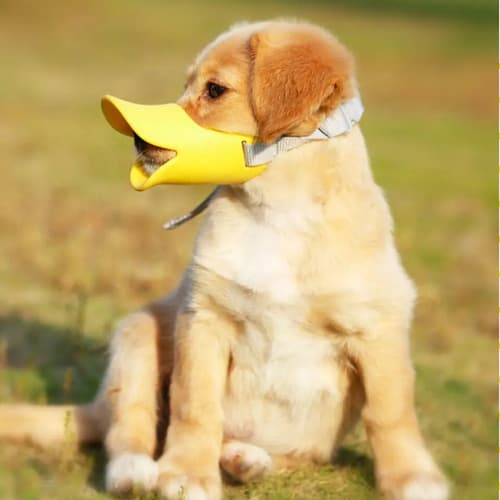 Bozal Pet Puppy Dog - A Pedido_exkarg Pequeño 6
