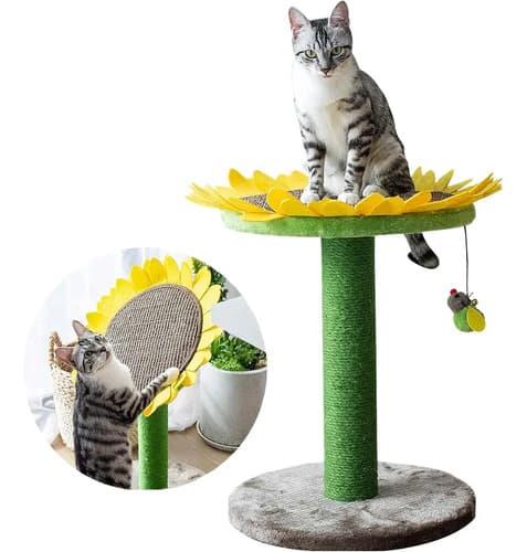 Rascador Para Gatos Girasol - A Pedido_exkarg Verde 2