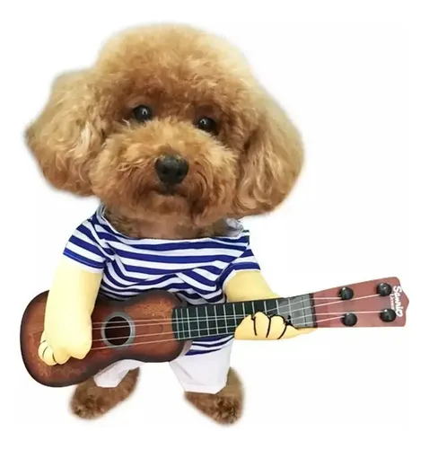 Disfraz Perro Guitarrista - A Pedido_exkarg 4