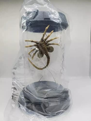 Pochoclera Alien Romulus - A Pedido_exkarg Transparente 2
