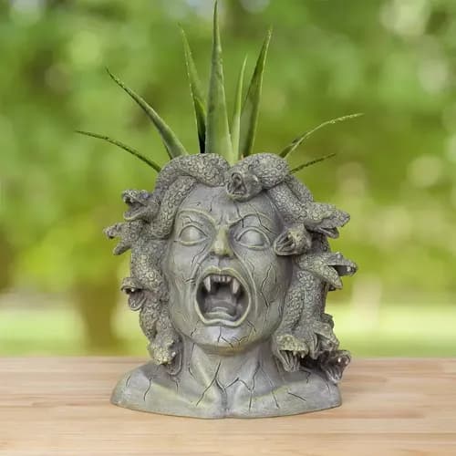 Maceta Cabeza Medusa - A Pedido_exkarg Gris 5