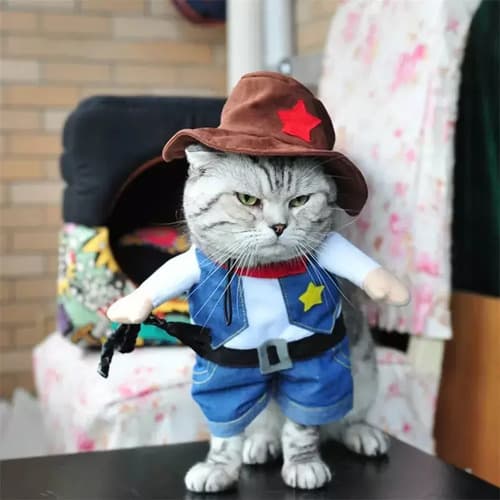Disfraz Para Gatos Cowboy - A Pedido_exkarg 3