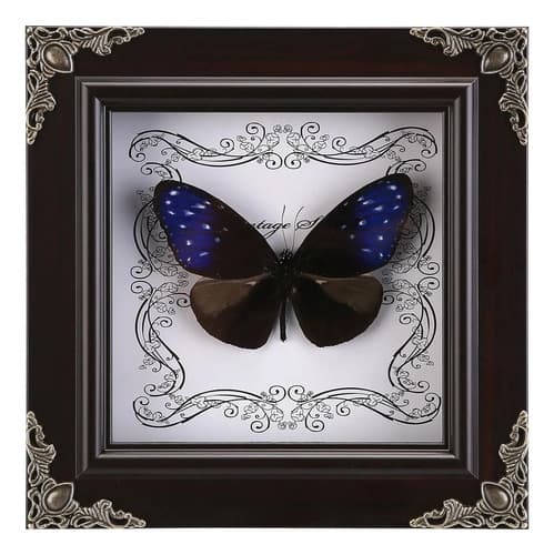 Cuadro Decorativo Mariposa - A Pedido_exkarg Negro