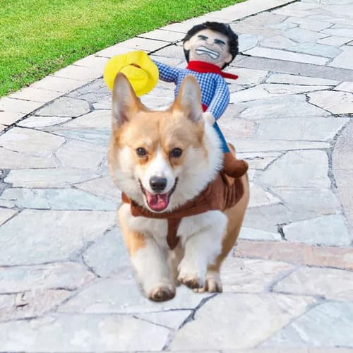 Disfraz Navideño Para Perro Riding - A Pedido_exkarg 2