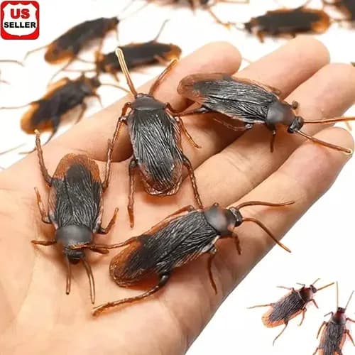 Cucarachas De Broma - A Pedido_exkarg Marrón 4