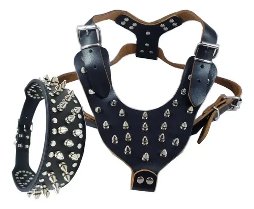 Juego De Collar Arnés Púas Pitbull Bulldog - A Pedido_exkarg X 5