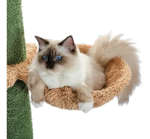 Rascador Para Gatos + Hamaca - A Pedido_exkarg Verde 2