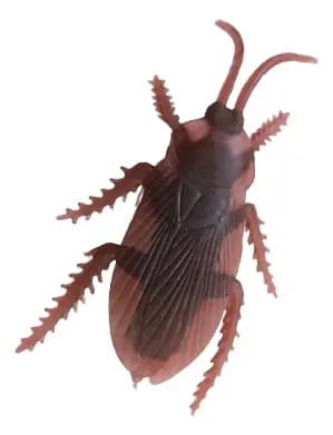 Cucaracha De Broma Para Baño - A Pedido_exkarg Marrón 3