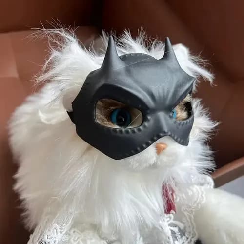 Disfraz Para Mascotas Mascara Murcielago - A Pedido_exkarg Negro 2
