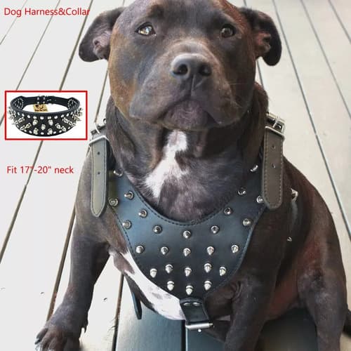 Juego De Collar Arnés Púas Pitbull Bulldog - A Pedido_exkarg X 2