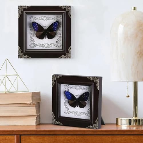 Cuadro Decorativo Mariposa - A Pedido_exkarg Negro 2
