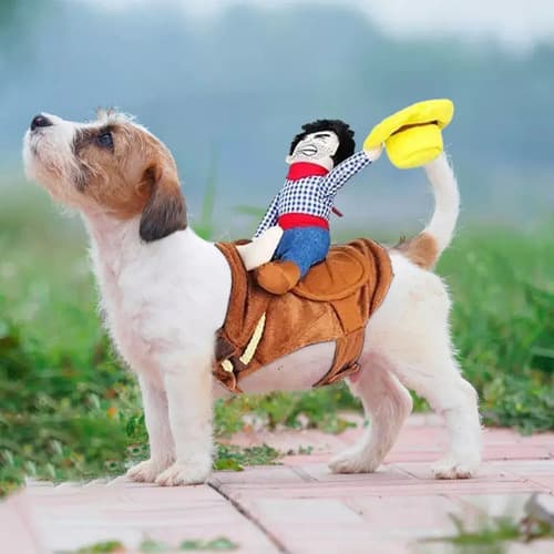Disfraz Navideño Para Perro Riding - A Pedido_exkarg 3