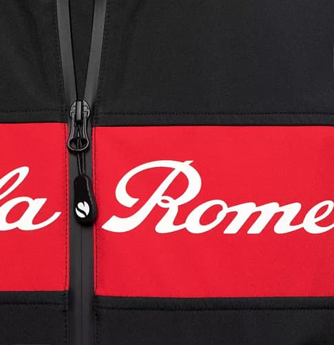 Campera Alfa Romeo Racing F1 2023 - A Pedido_exkarg Negro 38 3
