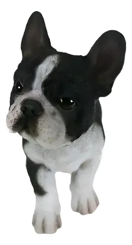 Realistica Estatua Bulldog Frances - A Pedido_exkarg Negro