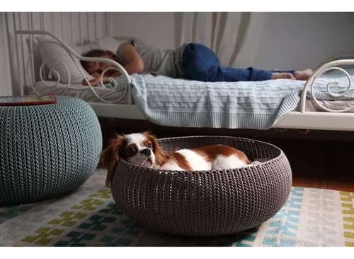 Cama Para Mascotas Keter By Curver - A Pedido Arena 4