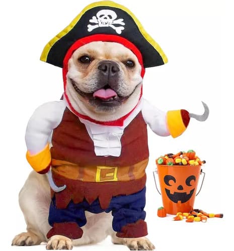 Disfraz Para Perro Caribbean Pirate - A Pedido_exkarg 2