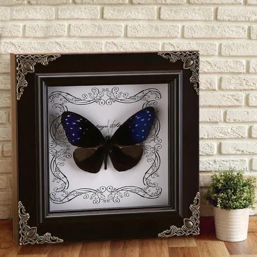Cuadro Decorativo Mariposa - A Pedido_exkarg Negro 3