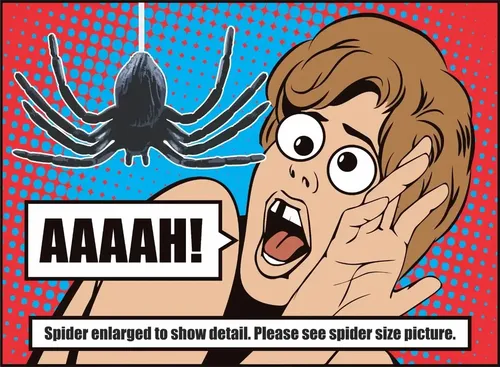 Juego De Broma Araña Falsa - A Pedido_exkarg Negro 3